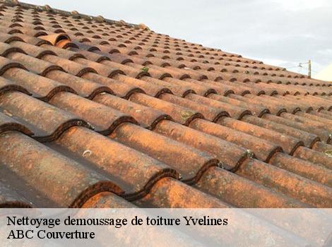 Nettoyage demoussage de toiture Yvelines 