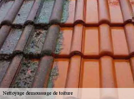 Nettoyage demoussage de toiture Yvelines 