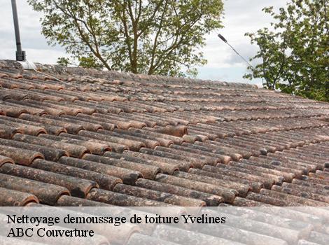 Nettoyage demoussage de toiture Yvelines 