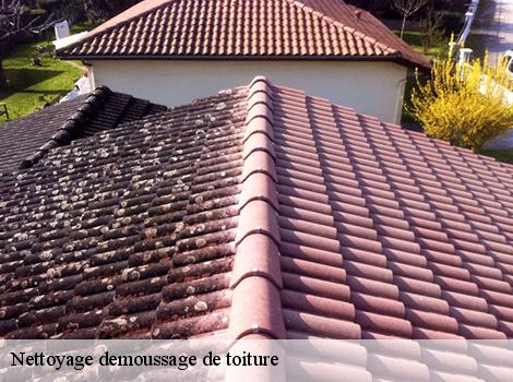 Nettoyage demoussage de toiture Yvelines 