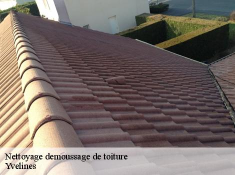 Nettoyage demoussage de toiture Yvelines 