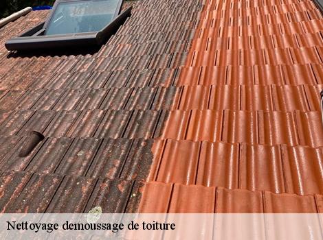 Nettoyage demoussage de toiture Yvelines 