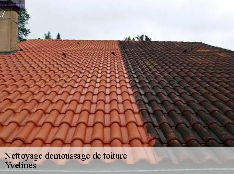 Nettoyage demoussage de toiture Yvelines 