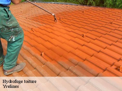 Hydrofuge toiture Yvelines 