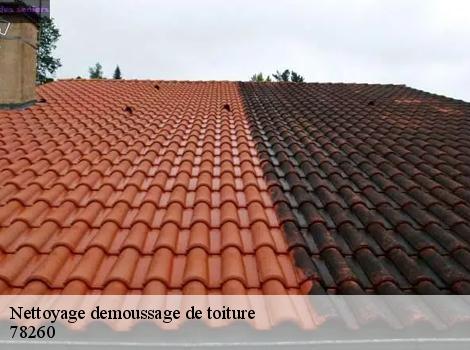 Nettoyage demoussage de toiture  78260