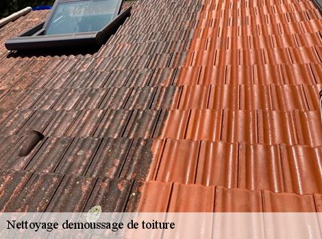 Nettoyage demoussage de toiture  78000