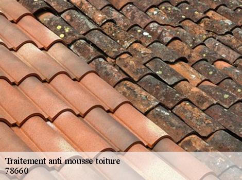 Traitement anti mousse toiture  78660