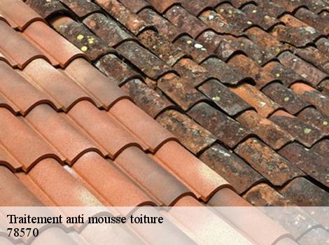 Traitement anti mousse toiture  78570