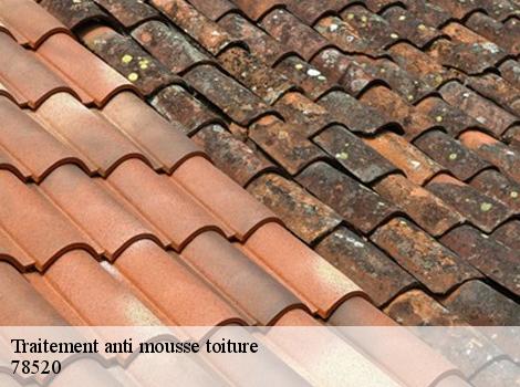 Traitement anti mousse toiture  78520