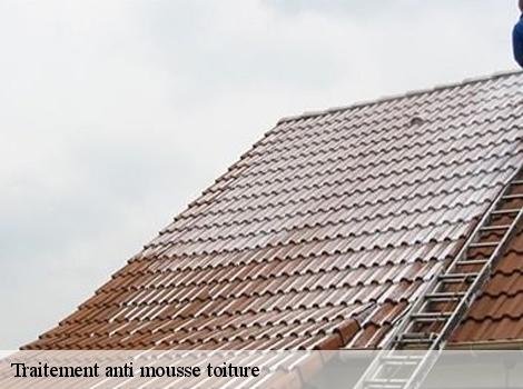Traitement anti mousse toiture 78130