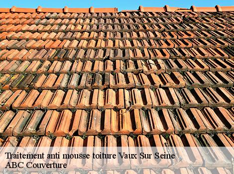 Traitement anti mousse toiture  78740