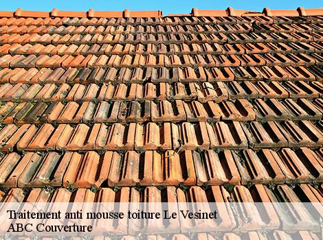 Traitement anti mousse toiture  78110