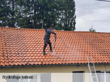 Hydrofuge toiture  78550