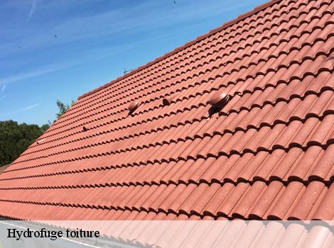 Hydrofuge toiture 78750