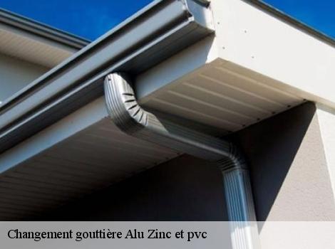 Changement gouttière Alu Zinc et pvc Yvelines 