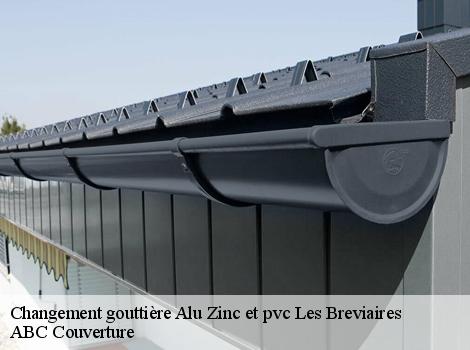 Changement gouttière Alu Zinc et pvc  78610