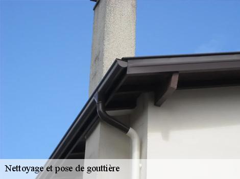 Nettoyage et pose de gouttière  78260