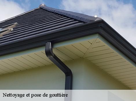 Nettoyage et pose de gouttière  78240