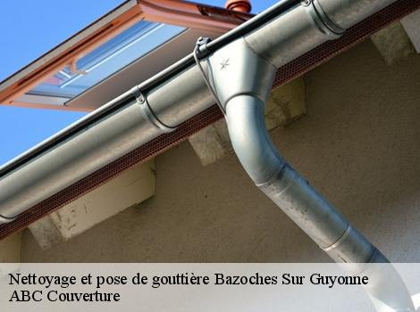 Nettoyage et pose de gouttière  78490