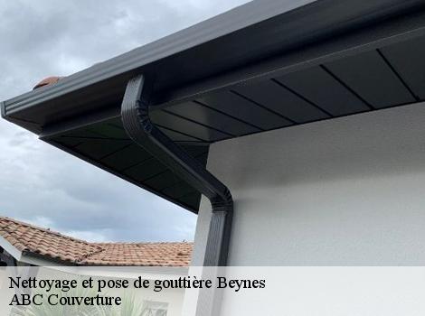 Nettoyage et pose de gouttière  78650