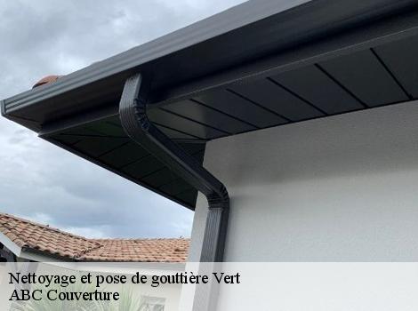 Nettoyage et pose de gouttière  78930